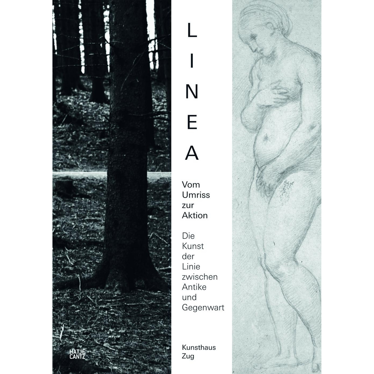 Coverbild Linea. Vom Umriss zur Aktion