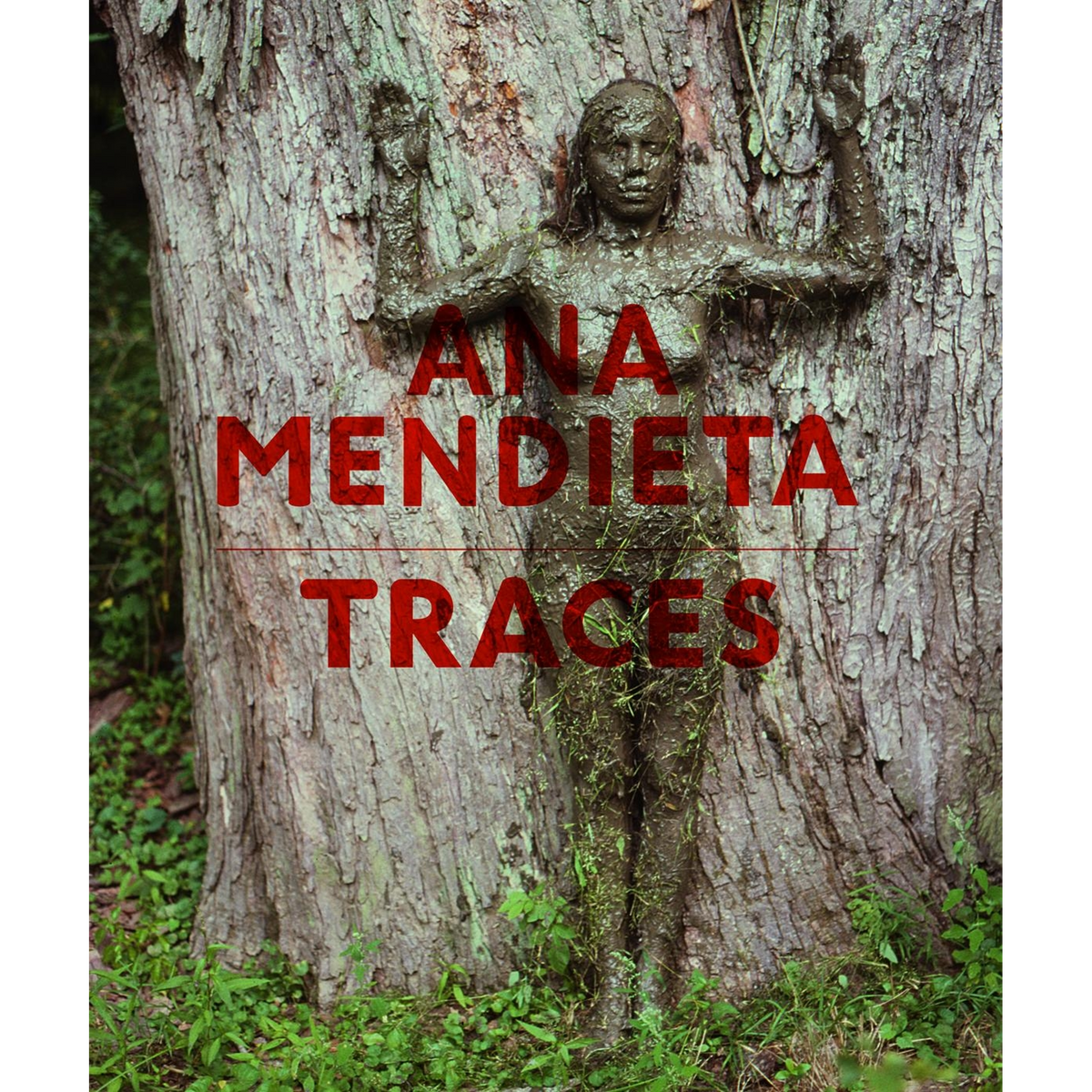 Coverbild Ana Mendieta