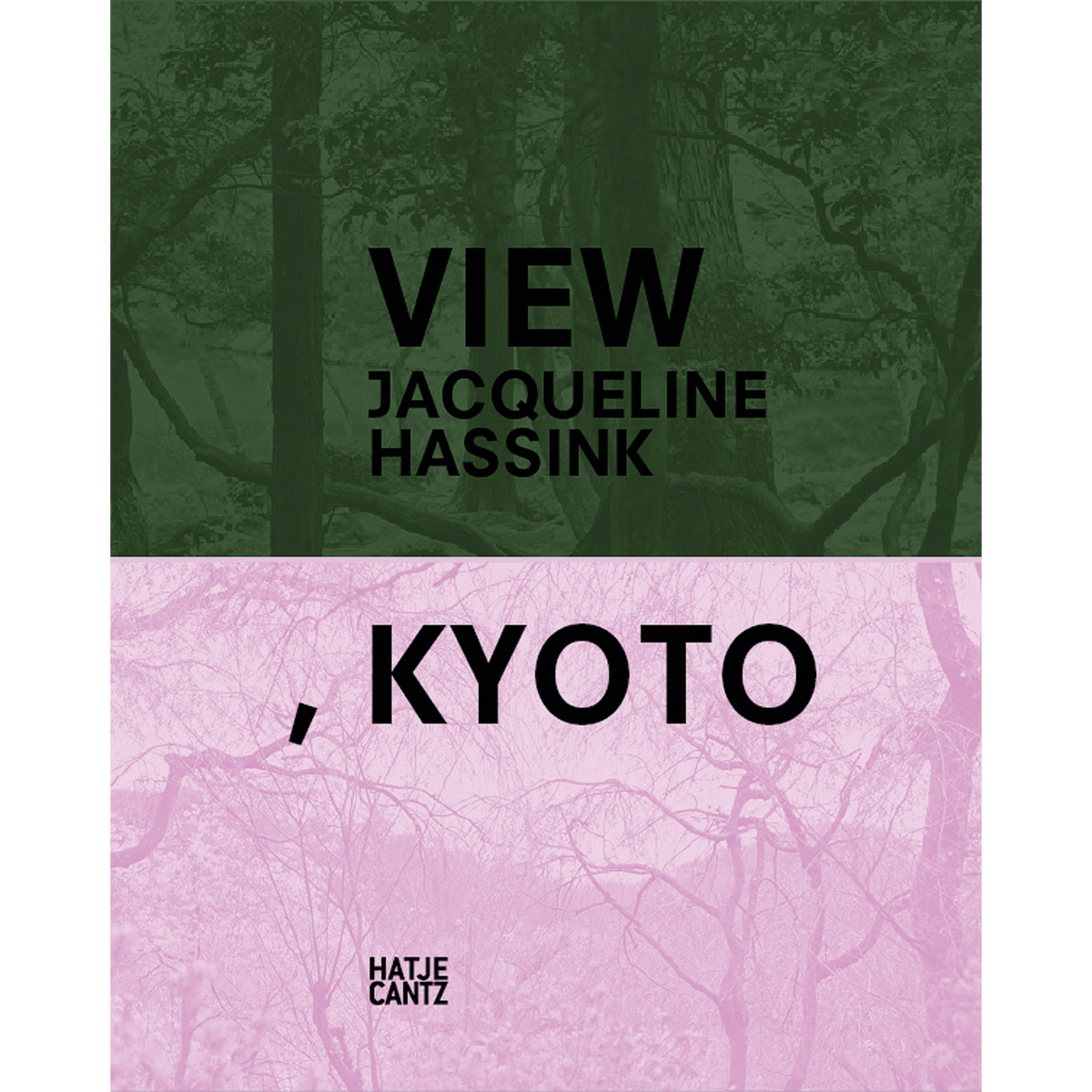 Coverbild Jacqueline Hassink