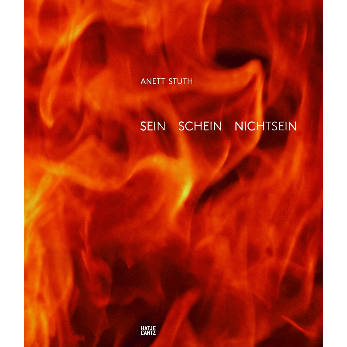 Coverbild Anett Stuth