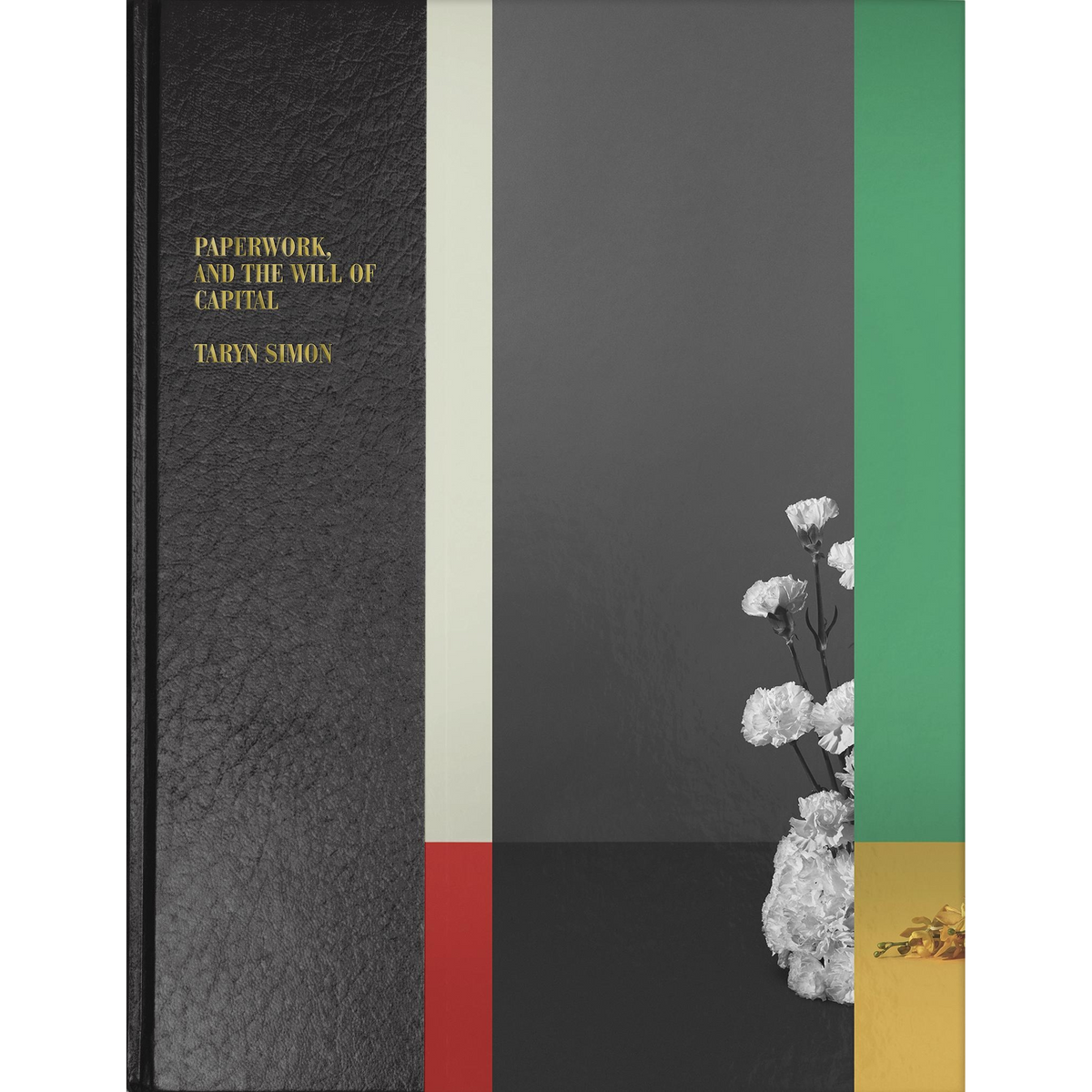Coverbild Taryn Simon