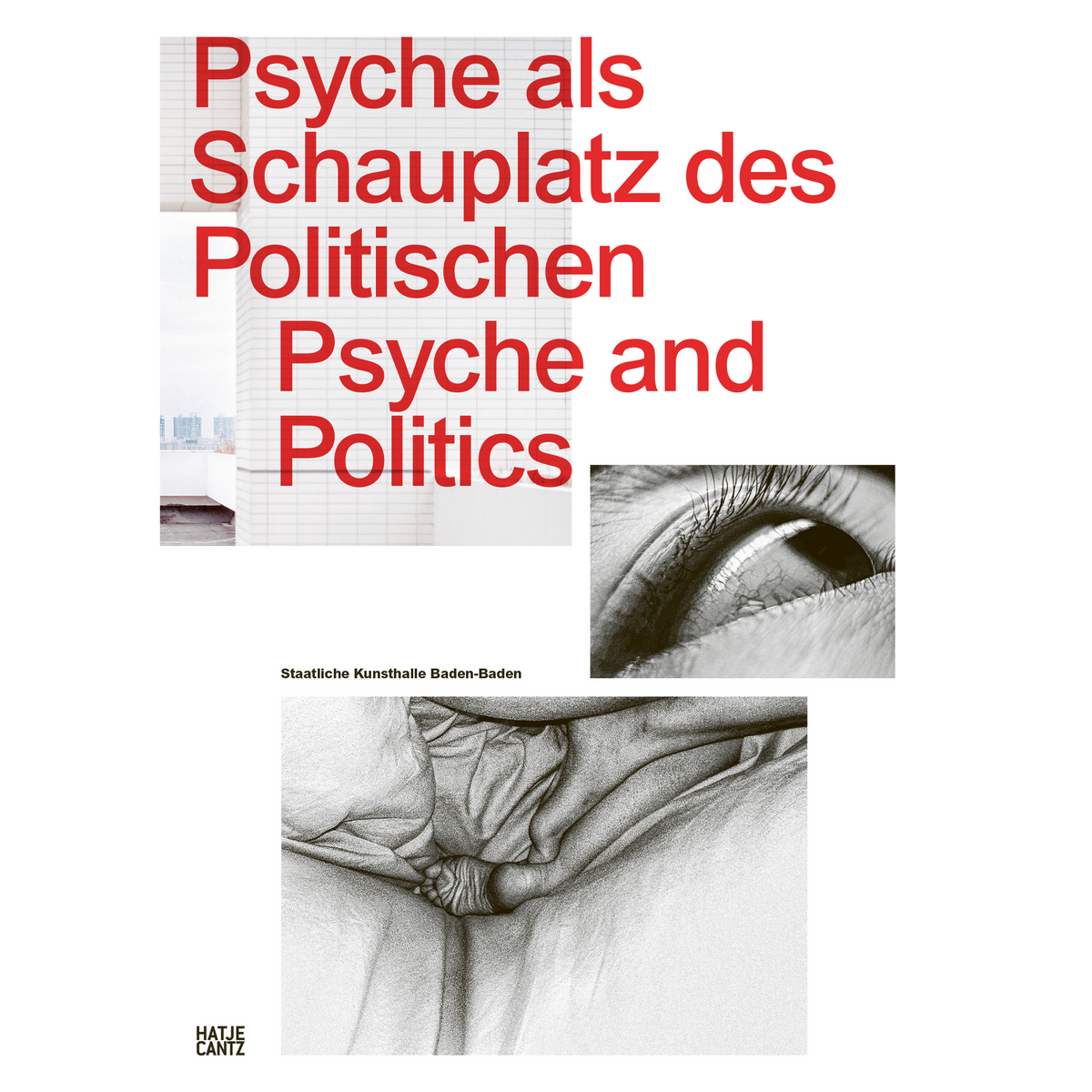 Coverbild Psyche als Schauplatz des Politischen
