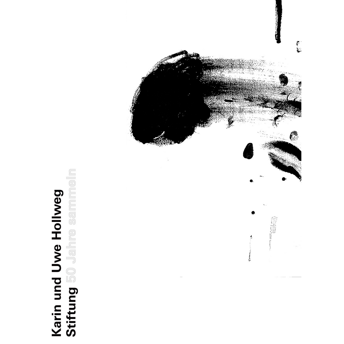 Coverbild Hollweg Stiftung - 50 Jahre sammeln