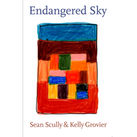 The book cover for Endangered Sky by Sean Scully & Kelly Grovier, featuring a colorful, abstract painting of stacked rectangular blocks.