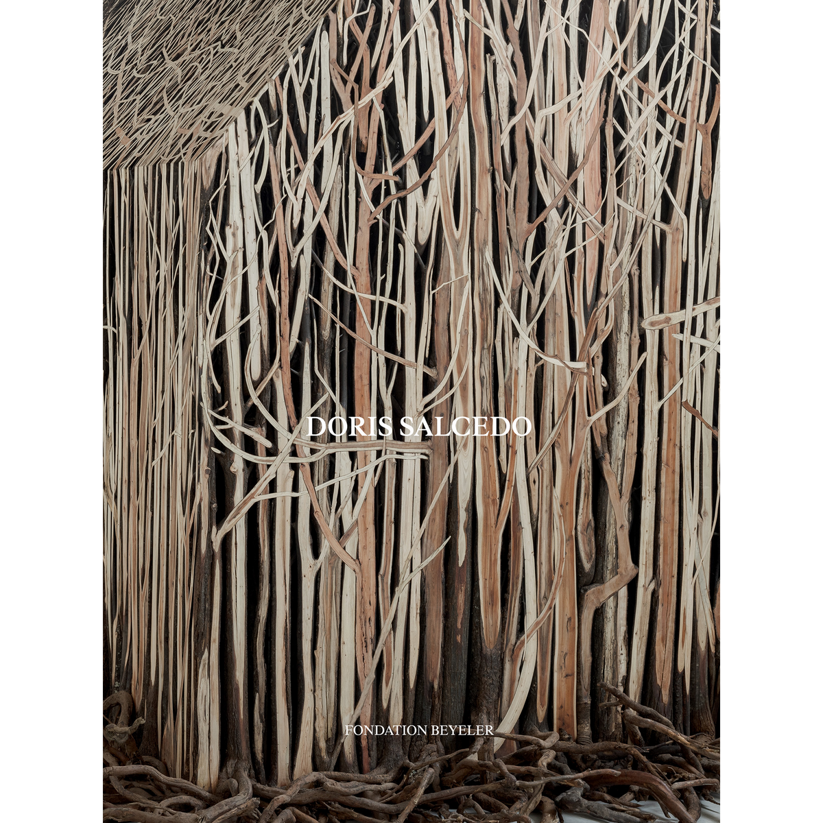 Coverbild Doris Salcedo