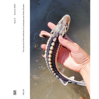The cover of The Journal of the Institute of Landscape and Urban Studies, showing a close-up of a hand holding a small sturgeon over water.