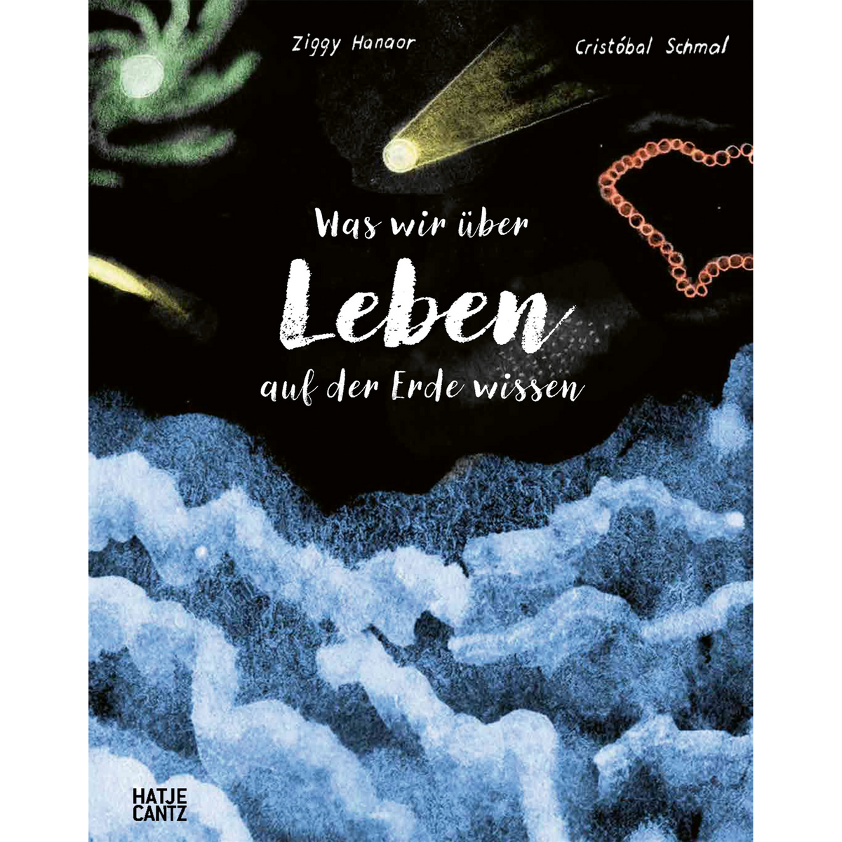 Coverbild Was wir über Leben auf der Erde wissen