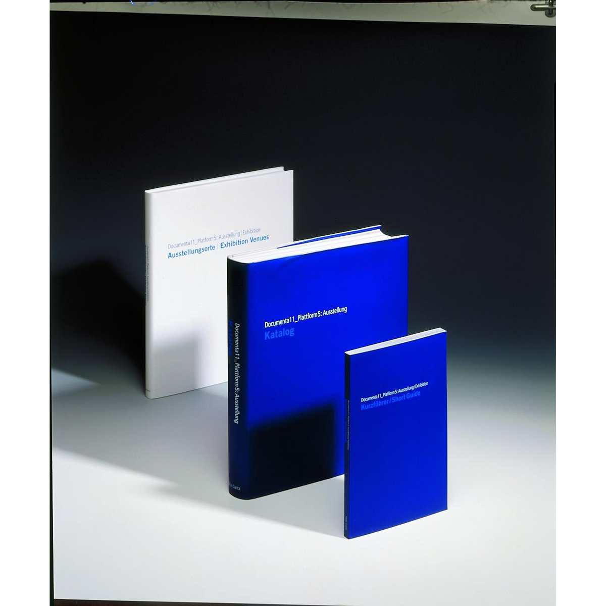 Coverbild Das Documenta11-Paket
