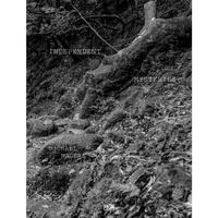 A stark black and white photo of a mossy forest floor with the title Independent Mysteries by Michael Magers.