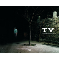 A blurry figure of a man stands in a dark park at night next to a leafless tree and a stone wall.