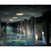 The book cover for In My Mother's Footsteps by Yishay Garbasz shows a dimly lit, flooded concrete hall with thick pillars and rubble on the floor.