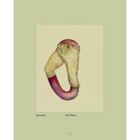 The cover of the book First Water by Oda Jaune, featuring a surrealist painting of trousers whose legs fuse into a single, looping, fleshy tube on a pale green background.