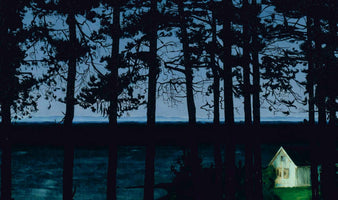 A stylized painting of a night landscape. The top half shows dark silhouettes of pine trees against a dusky blue sky. The bottom half is darker, with a view through the trees to a small, isolated white house illuminated on a patch of bright green grass in the lower right.