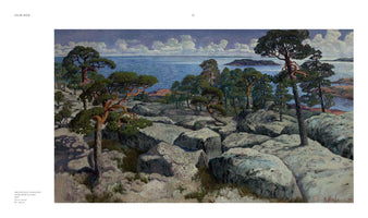 An oil painting by Helmi Biese from 1899 titled Archipelago Landscape. The scene depicts a rugged, rocky coastline with gnarled pine trees growing between large, grey boulders. In the background, a wide expanse of blue water stretches to the horizon under a partly cloudy sky, with small, tree-covered islands visible in the distance.