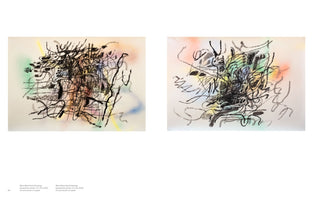 A book page displays two abstract artworks side by side. Each piece, titled Mind-Wind Field Drawings, features a dense, chaotic tangle of black gestural ink lines over a soft, hazy background of spray-painted colors including green, yellow, pink, and blue on off-white paper.