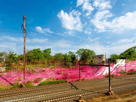 An outdoor landscape with several railroad tracks in the foreground under a blue sky with white clouds. Beyond the tracks, an overgrown hillside and a concrete wall are unexpectedly covered in a vibrant hot pink color, contrasting with the surrounding green trees and a tall, rusty utility pole.