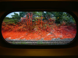 A view from inside a train, looking out a rounded window at a railway track and an adjacent embankment. The soil, lower bushes, and tree trunks on the embankment are completely covered in a vibrant, bright red-orange powder, creating a stark contrast with the green trees in the background under a pale sky.