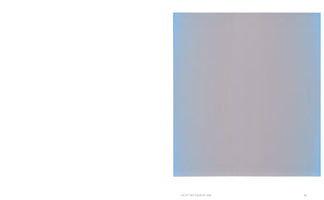 An art book page with a large white margin on the left. On the right is a square, abstract color field painting titled Licht des Tages II, 2005. The work features a central area of muted, grayish-mauve with soft, glowing borders of pale blue on the vertical sides. The page number 31 is at the bottom right.