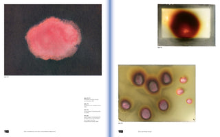An open book spread with German text and page numbers 118 and 119. The left page shows a large, abstract pink cloud on a dark background. The right page displays two smaller images: a dark red, blurry orb on a light background, and below it, several pinkish oval imprints with dark brown halos on a yellowish surface.