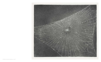 A highly detailed, realistic charcoal drawing of an intricate spiderweb. The web's luminous white threads stand out against a dark, grainy background, radiating from a bright central point and stretching diagonally across the frame.
