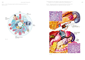 Biomedical Visions