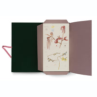 An open, dark green portfolio with a dusty rose interior and a pink ribbon tie, holding a botanical art print. The print features scientific illustrations of various plant branches, including some with pink and white catkins and another with a yellow fruit.