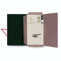 An overhead shot of an open portfolio against a white background. The portfolio has a dark green cover, a pink ribbon tie, and a dusty rose interior. It holds a print featuring vintage-style scientific illustrations of a small bird, a pine branch, a flowering plant, and a dragonfly, complete with handwritten notes.