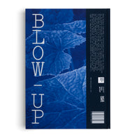 Franz Gertsch. Blow-Up