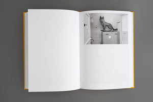 An open book with a yellow spine is seen from above on a gray surface. The left page is blank. The right page displays a black-and-white photograph of a taxidermied fox standing on a cabinet in a tiled room.